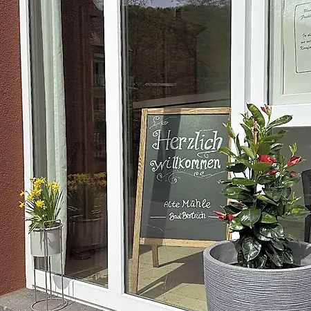 Alte Muehle Hotel Bad Bertrich
