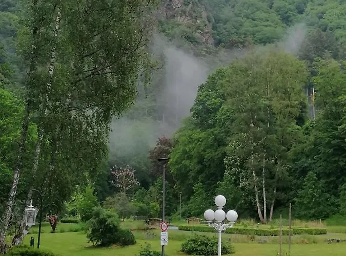 호텔 Alte Muehle 3*