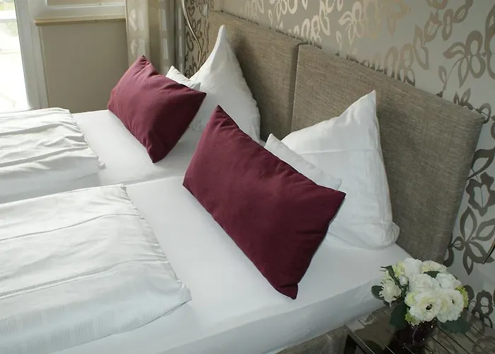 Alte Muehle 호텔 3*