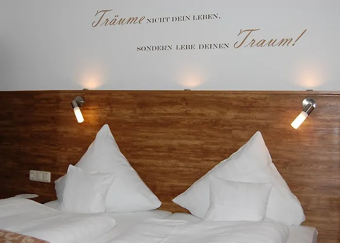 호텔 Alte Muehle 3*