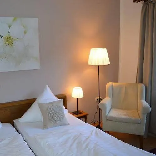 호텔 Alte Muehle 3*